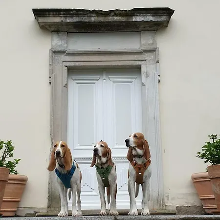 Palac Gasthof Nakomiady